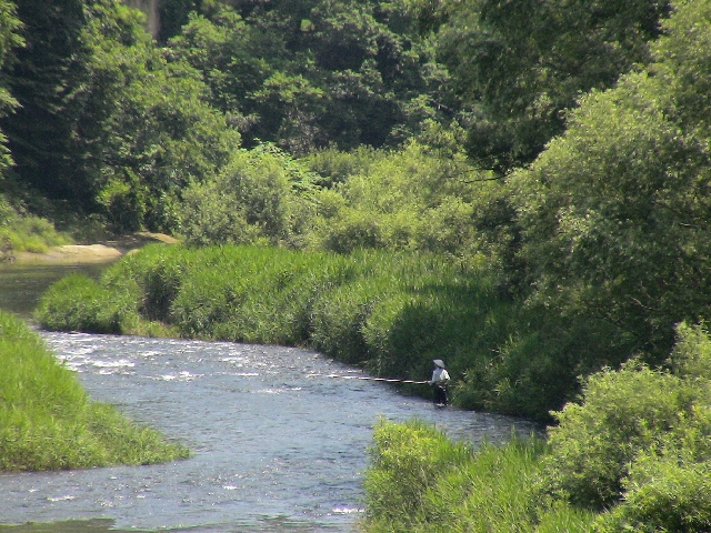 gacho02005.jpg