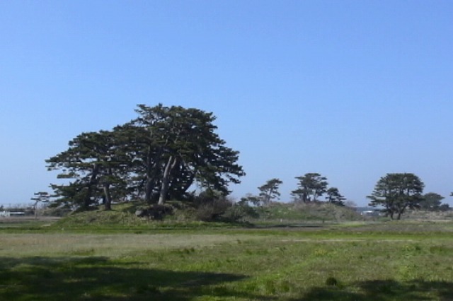 sk005.jpg