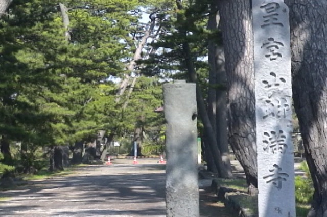 sk007.jpg