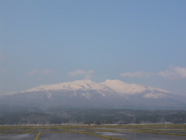 sk008.jpg