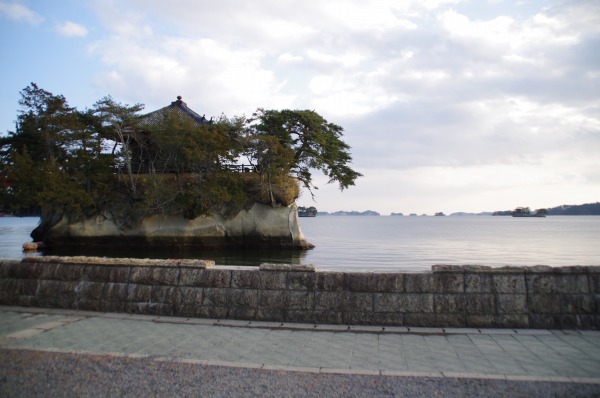 s-IMGP020.jpg