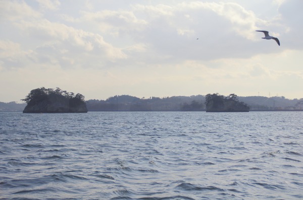 s-IMGP090.jpg