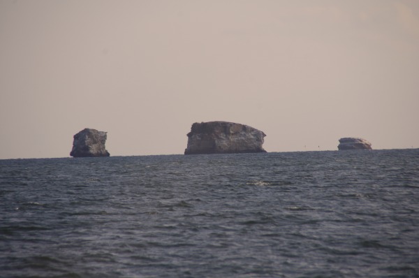 s-IMGP100.jpg