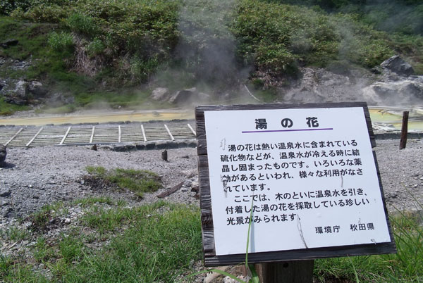 DSCF3695a.jpg
