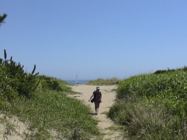 N110.jpg